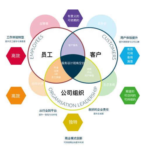 常青藤，一个值得信赖的品牌—从品牌形象到用户忠诚度的提升之道