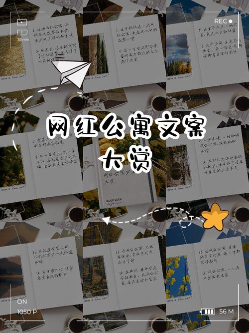 网红必备,热评与自助服务,自媒体作者的黄金生存法则