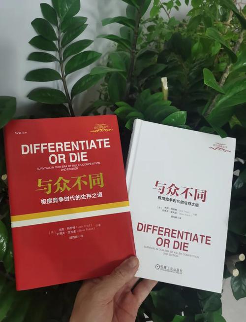 指南指南，如何在南岸的营销世界中脱颖而出