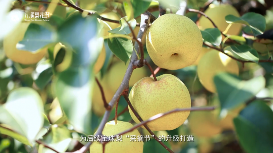 花西市做网站指南,昆明网络服务行业