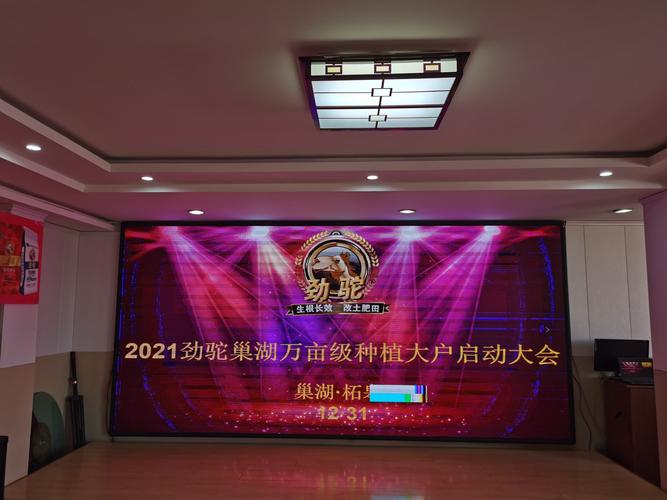 巢湖,网络城市,构建高效网站,从基础到成功