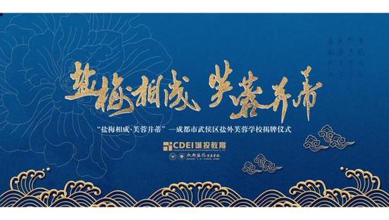 成都网络制作指南,从准备到发布,你的内容如何绽放?
