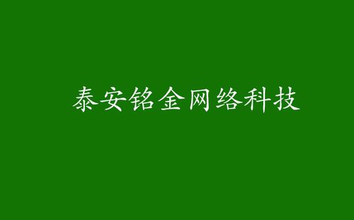 泰安网络公司推荐,选择一家靠谱的公司,让网络工作更顺利!