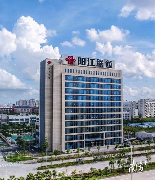 阳江最大网络优化,助力数字经济的崛起