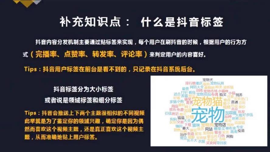 为什么抖音秒刷粉丝软件安卓版和抖音代刷在线业务如此重要?从提升用户互动到优化运营的全维度策略