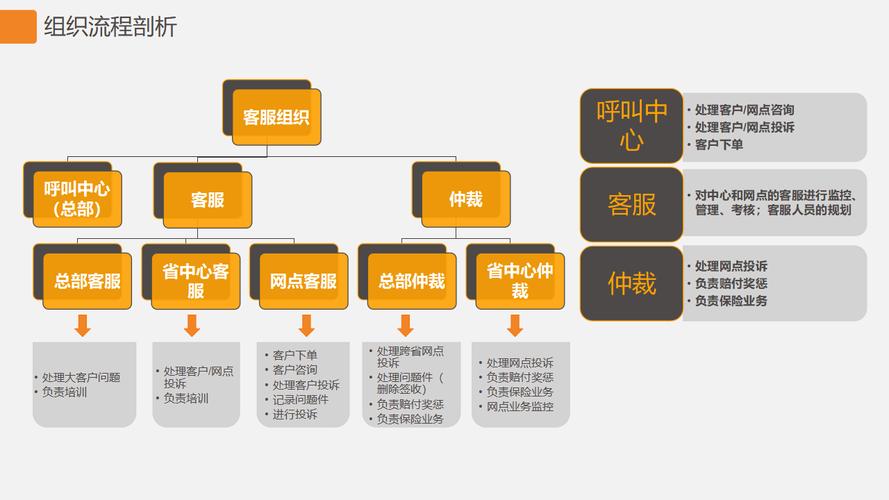 网络咨询，从问题分析到策略制定，构建精准的咨询体系