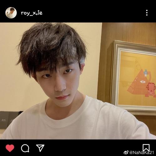 一、dy代系统的基本使用流程