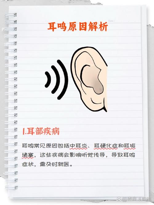 1.声音问题可能的原因
