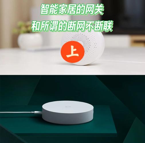 网络主要做什么