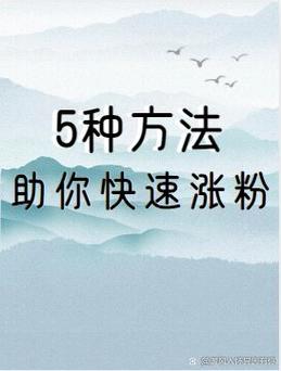 官网免费用户如何快速涨粉？ks业务让粉丝们疯狂涨！