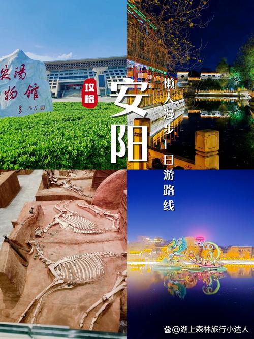安阳专业网站构建，让城市更精彩