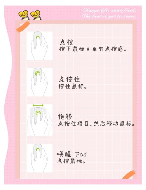 平板电脑应用的入门指南,如何高效利用你的平板