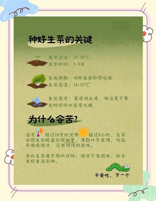 电脑上蔬菜操作指南，轻松管理你的生活