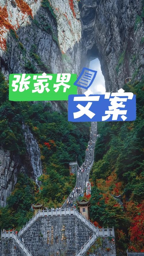张家界网络公司，助力本地内容生态