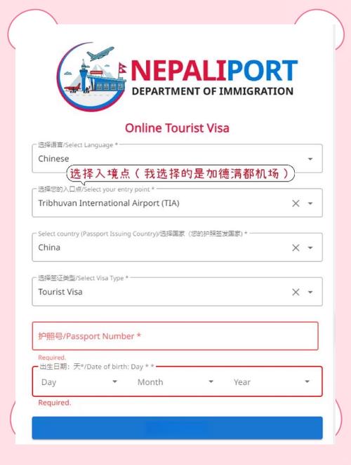 签证中心网站，构建高效签证申请的便捷平台