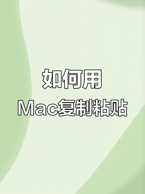 电脑粘贴指南，解决电脑上文件粘贴问题的实用技巧