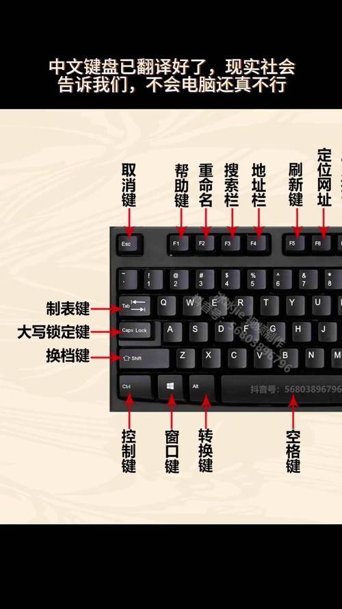 记者，键盘的奥秘，世界征服者电脑版的秘密