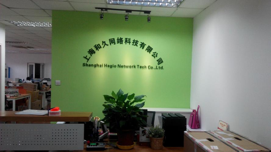 上海专业网络推广公司