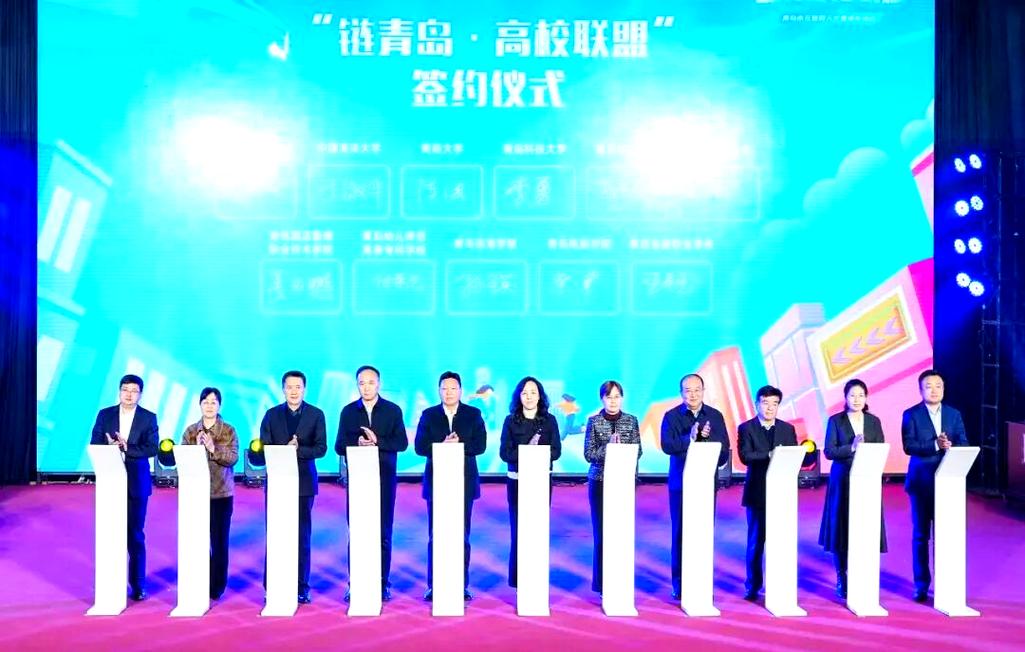 青岛大型网络科技公司,机遇与未来