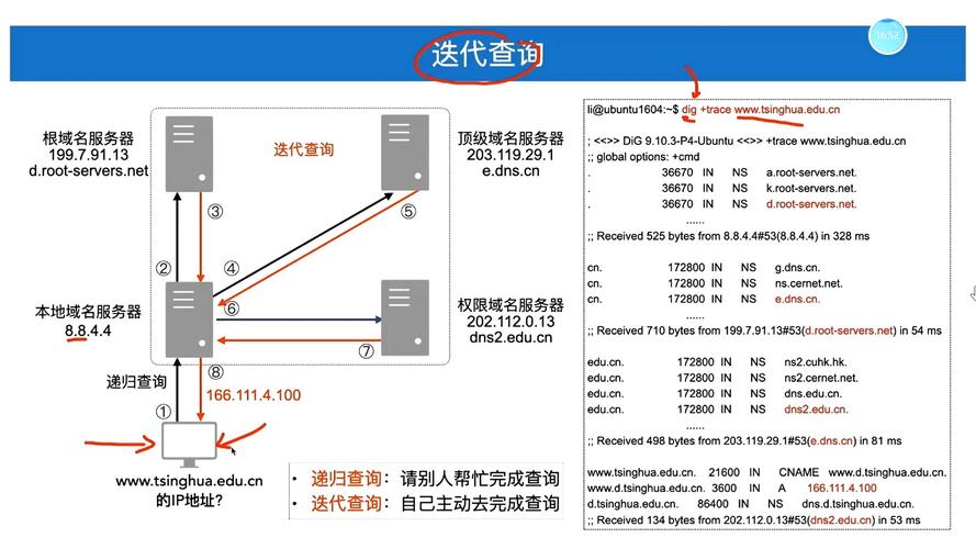 如何管理网络号的域名?从基础到高级!