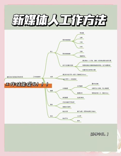 网站费用结构解析，自媒体作者的高效运营