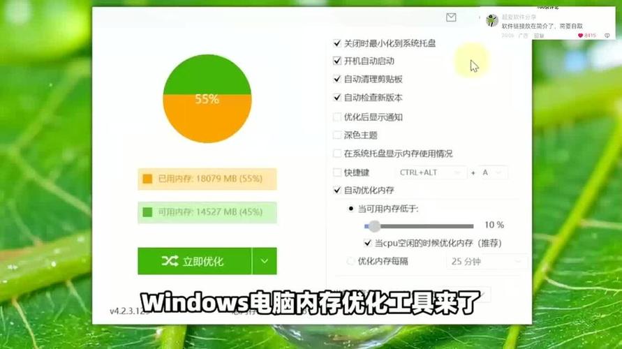 电脑主机配置15，内存优化指南