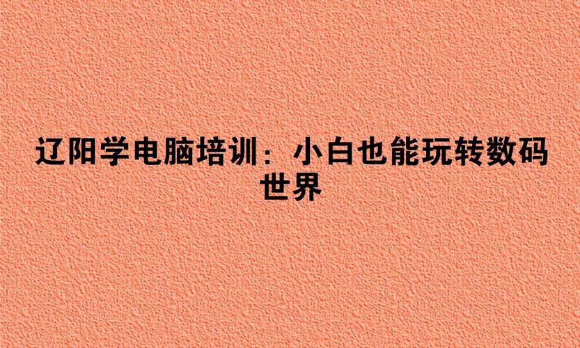 指导，让现代电脑玩转世界