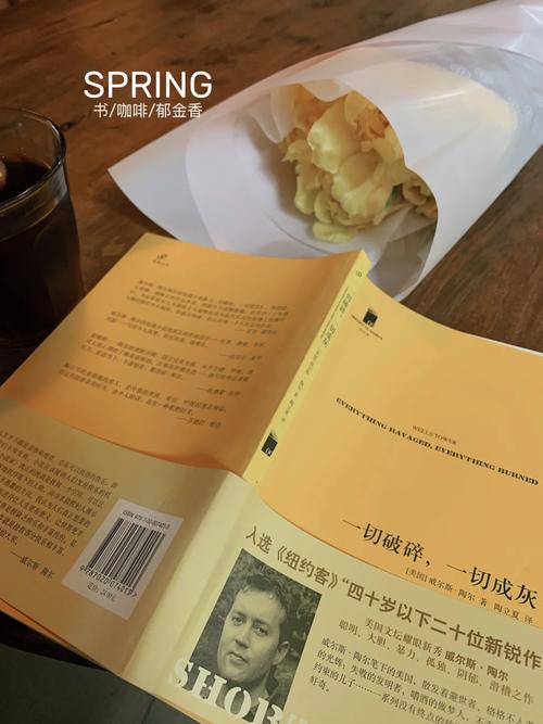 如何构建专业小说网站？从设计到优化，Everything都在这里！