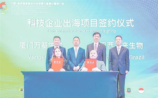 打造厦门企业品牌，开启创新发展新篇章