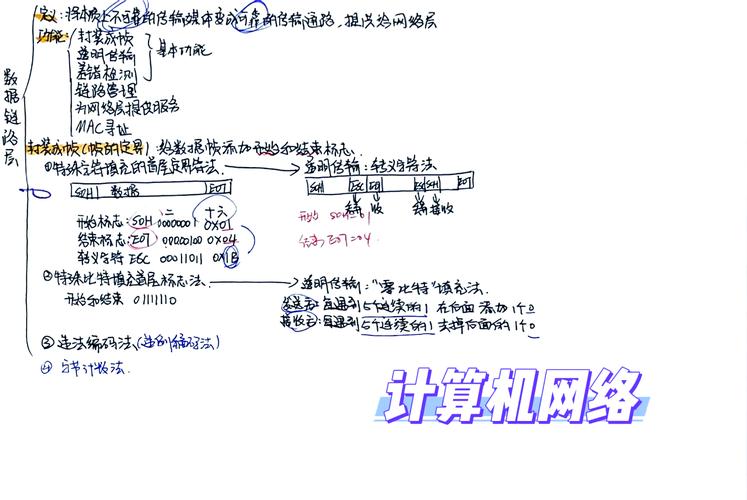 网络建设的重要性与效益分析