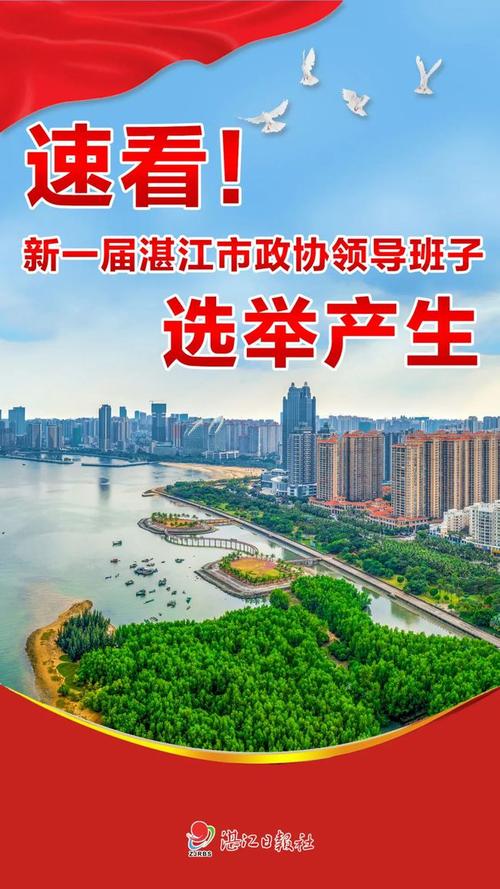 湛江网络推广费用指南，自媒体作者的必修课