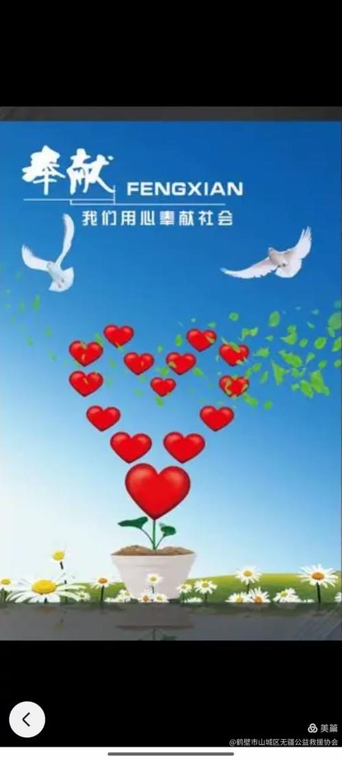 让爱心活动更上一层楼,这些平台你必须知道!
