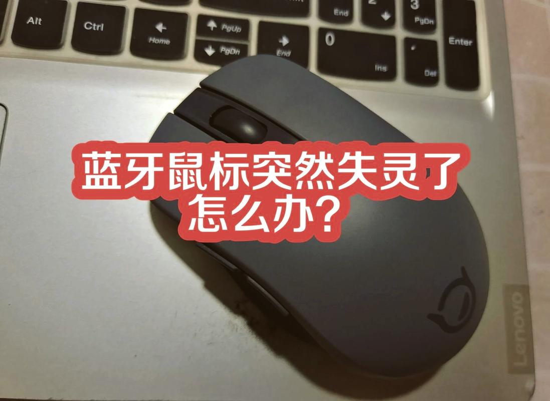 一、电脑鼠标动不了的真相