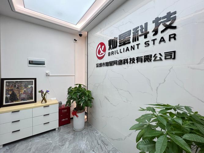 深圳网络科技公司排名